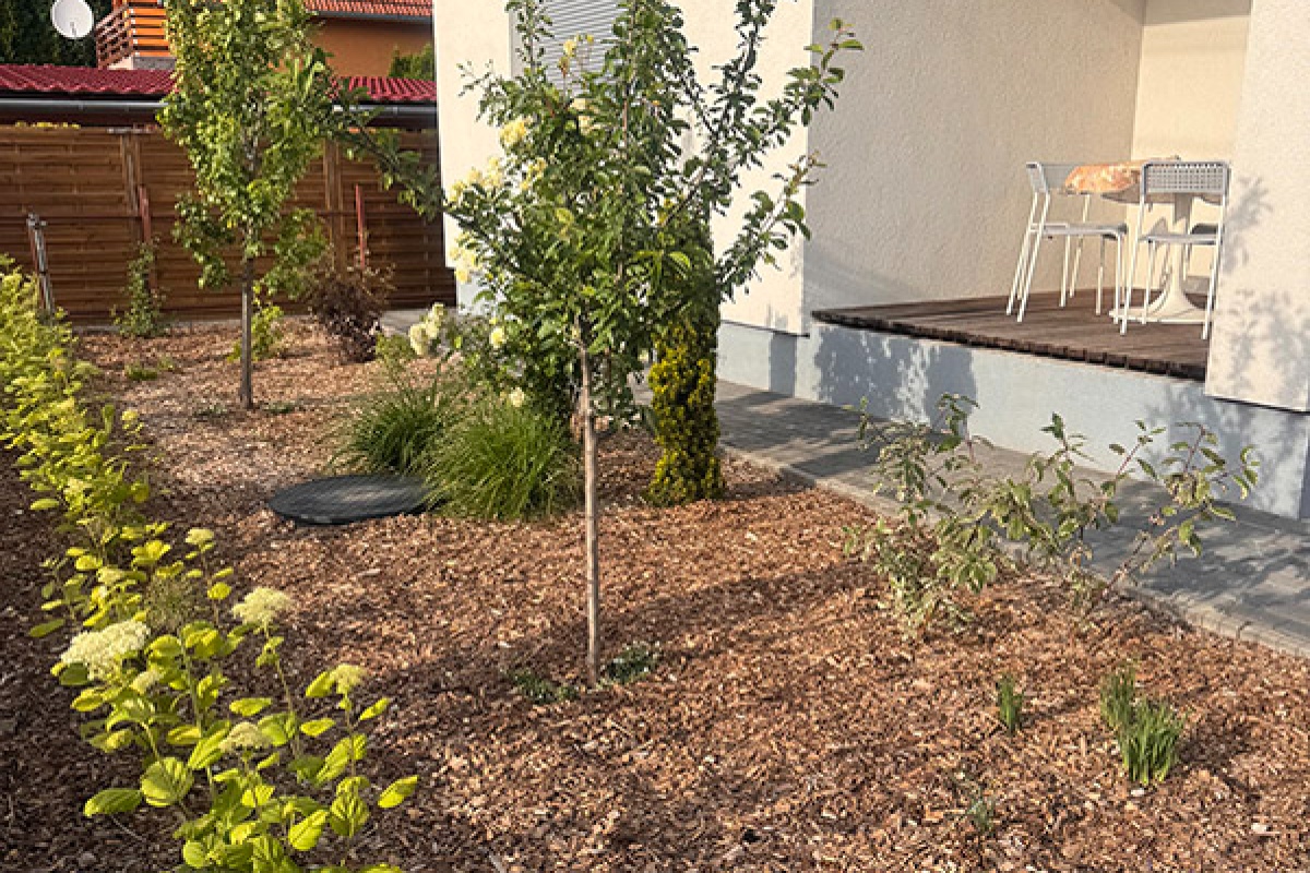 Utána: B.keresztúr_előkert_1.jpg